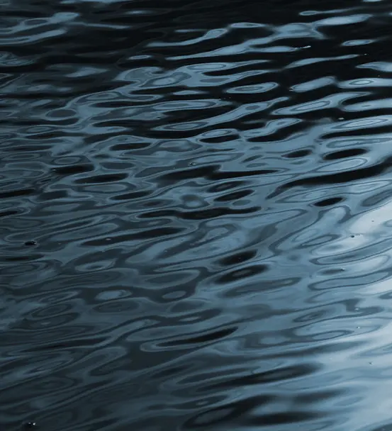 SK-Malerwerkstatt mit der Trendfarbe 2026 Deep Ocean